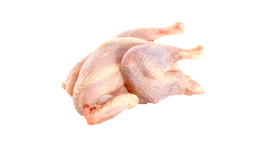 Hard Chicken