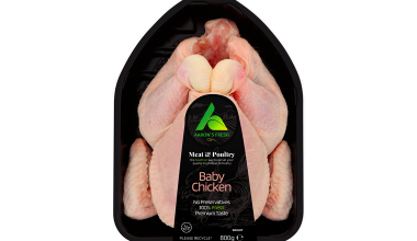 baby chicken