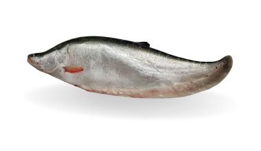 Chital Fish Whole