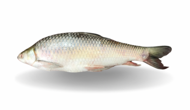 Mirgal Whole Fish