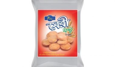 Fiza Mega Salted Biscuits