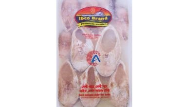 IBCO Clean Hilsha Block 500g