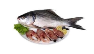 Katla Whole Fish Myanmar