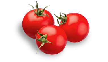 Fresh Tomato