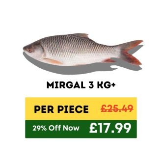 3KG Mirgal