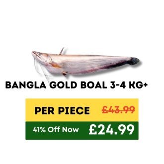 Bangla Gold Boal 3-4 KG+