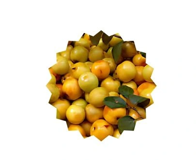 Tenga Boroi Bangladesh 1 Tenga Boroi Bangladesh