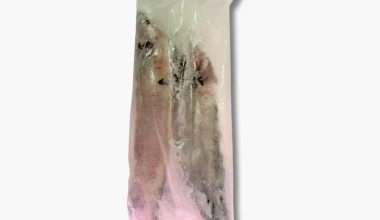 Crown 2 in A Pack Boal 3Kg+