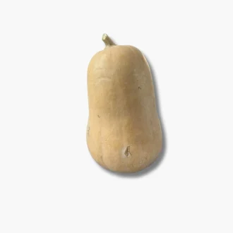 Squash 800-1000g 2 Squash 800-1000g.png1